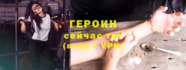 шишки Надым