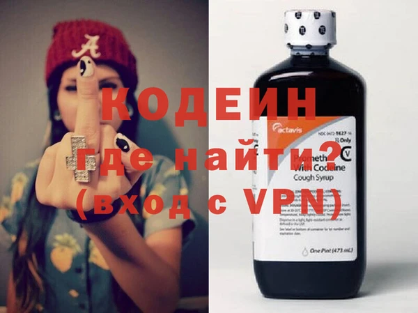 шишки Надым