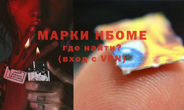 шишки Надым