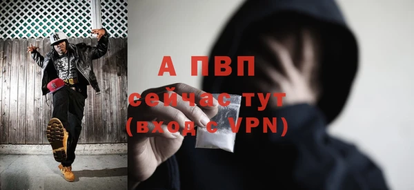 шишки Надым