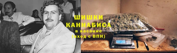 мдпв Нея