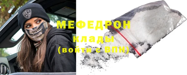 шишки Надым