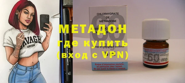 шишки Надым