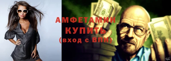 шишки Надым