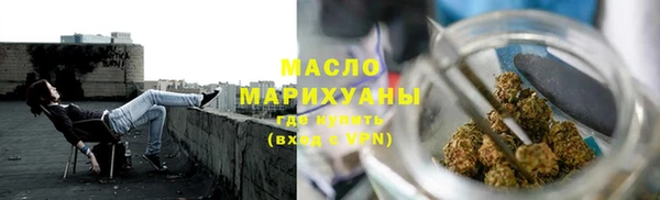 шишки Надым