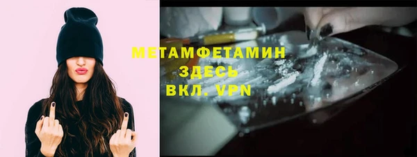 шишки Надым