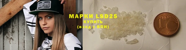 шишки Надым