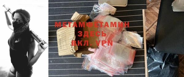 шишки Надым